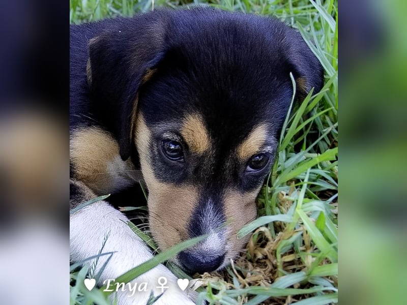 Jackie/Enya sucht ihre Familie ab Oktober