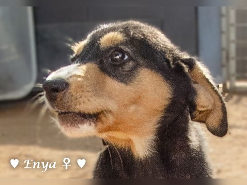 Jackie/Enya sucht ihre Familie ab Oktober