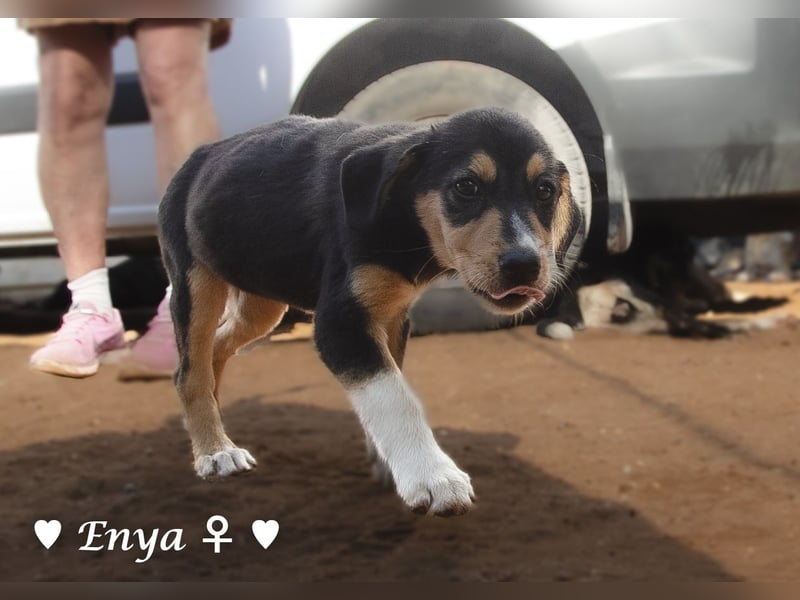 Jackie/Enya sucht ihre Familie ab Oktober