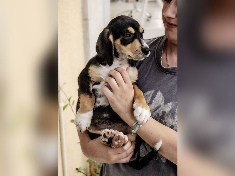 Kokonimix Tammy und Sammy suchen ein Zuhause