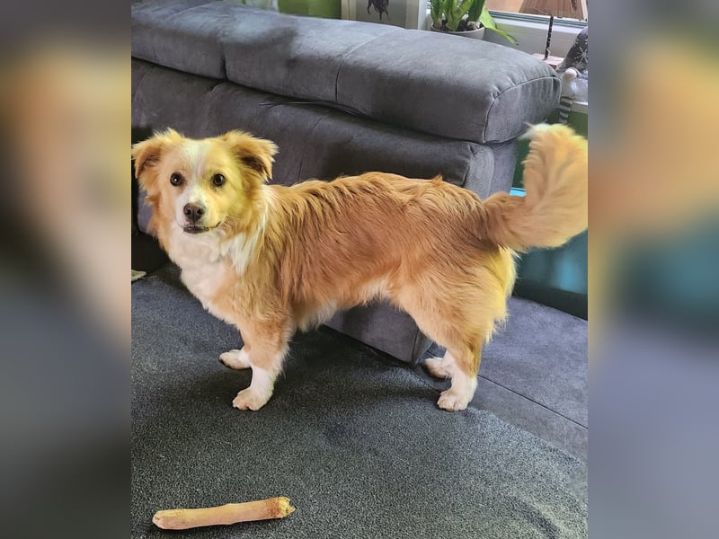 Mio sucht seine Familie