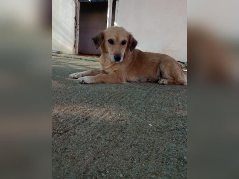 Megan – so still, so schön, so voller Liebe