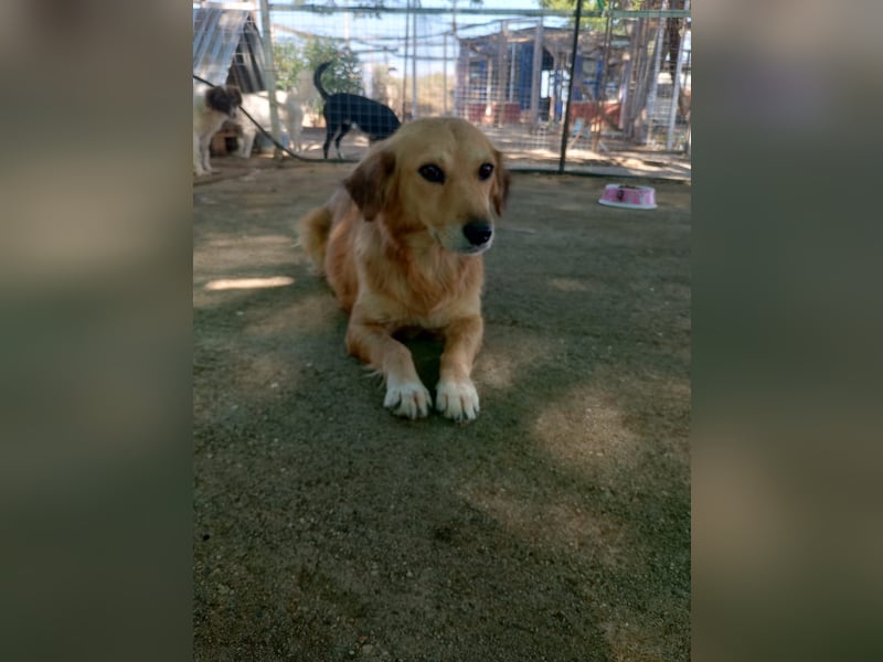 Megan – so still, so schön, so voller Liebe