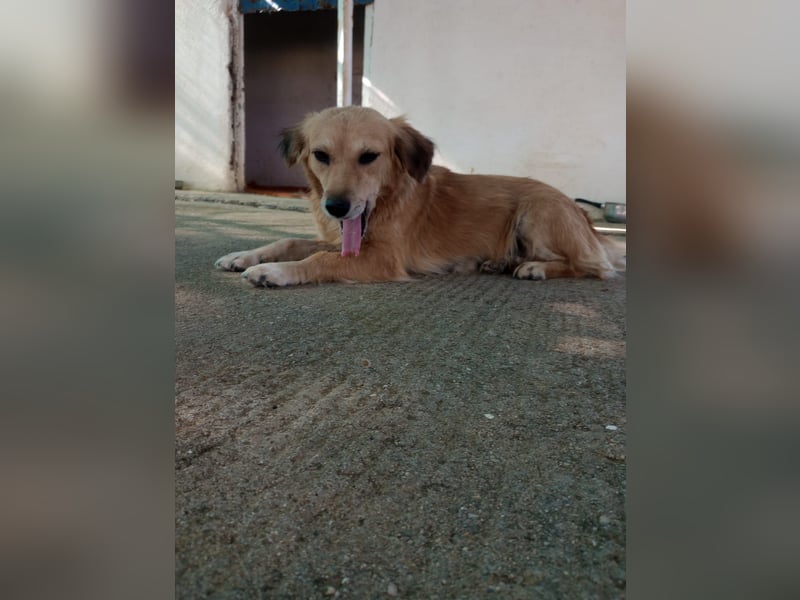 Megan – so still, so schön, so voller Liebe