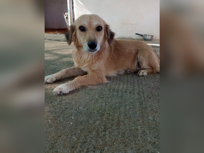 Megan – so still, so schön, so voller Liebe