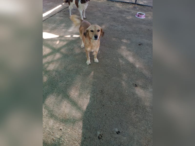 Megan – so still, so schön, so voller Liebe