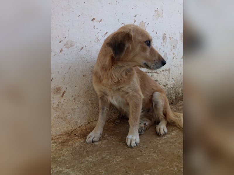 Megan – so still, so schön, so voller Liebe