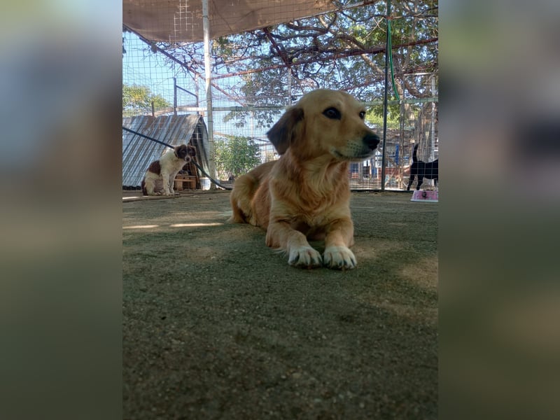 Megan – so still, so schön, so voller Liebe