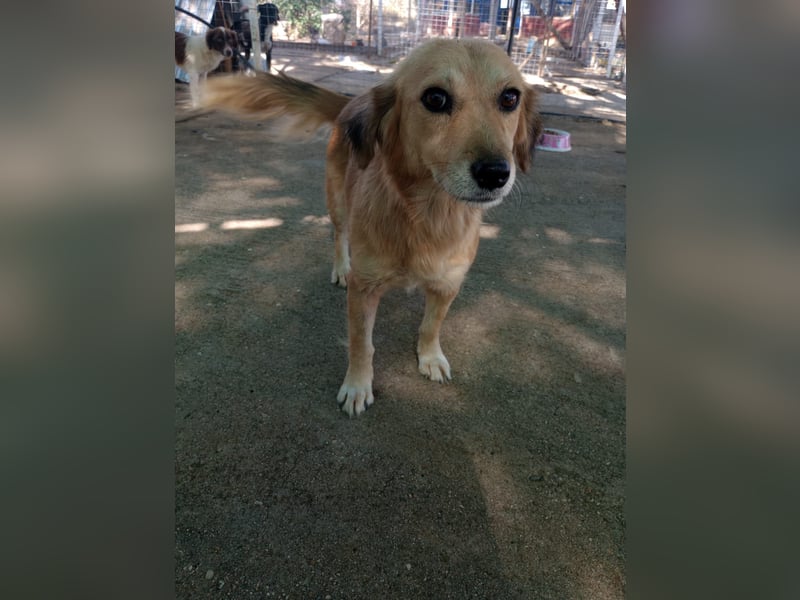 Megan – so still, so schön, so voller Liebe