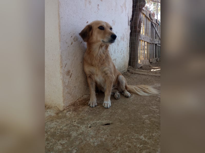 Megan – so still, so schön, so voller Liebe