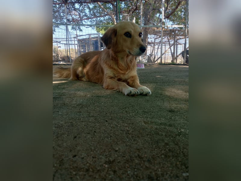 Megan – so still, so schön, so voller Liebe