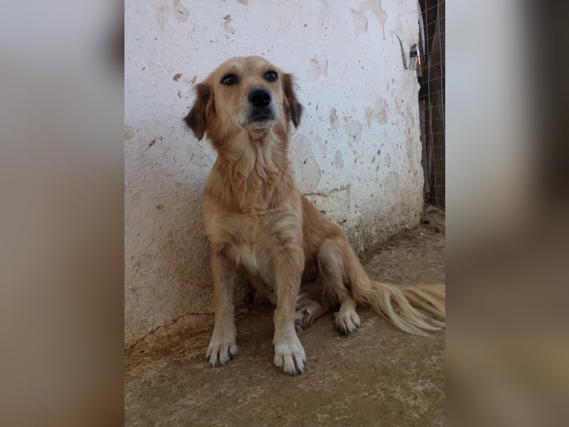 Megan – so still, so schön, so voller Liebe