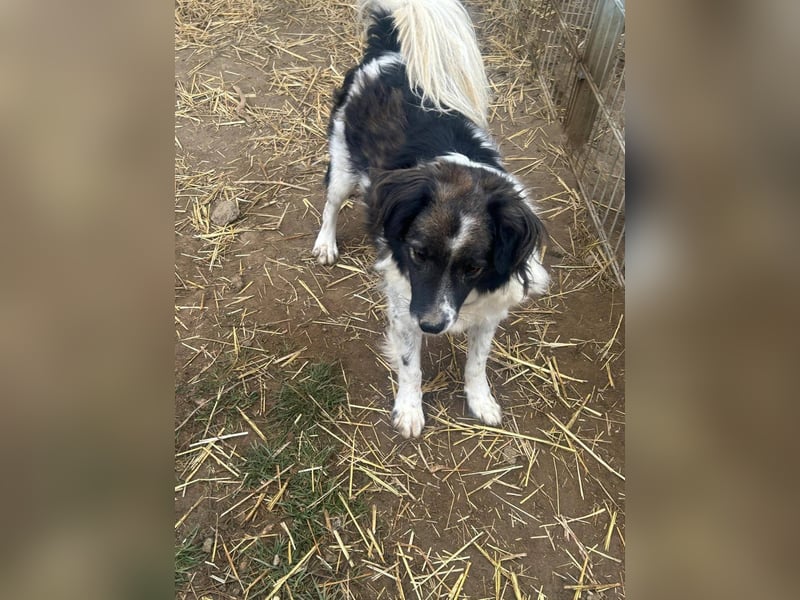 Romeo - verlassen und vergessen