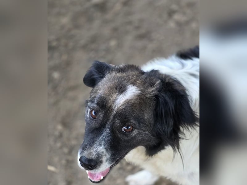 Romeo - verlassen und vergessen