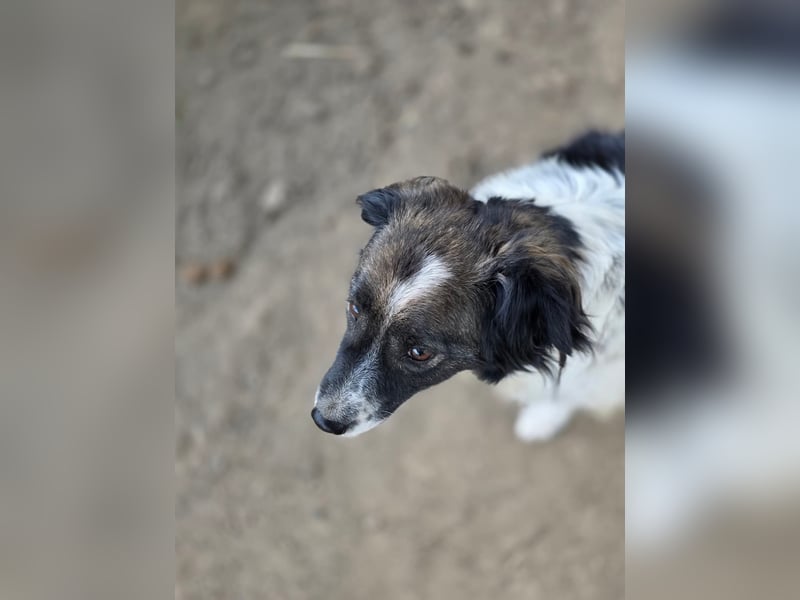 Romeo - verlassen und vergessen