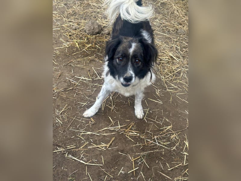 Romeo - verlassen und vergessen