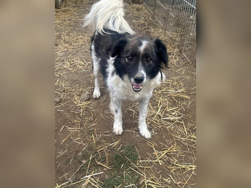 Romeo - verlassen und vergessen