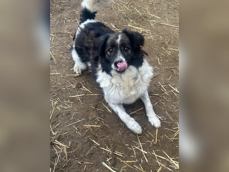 Romeo - verlassen und vergessen