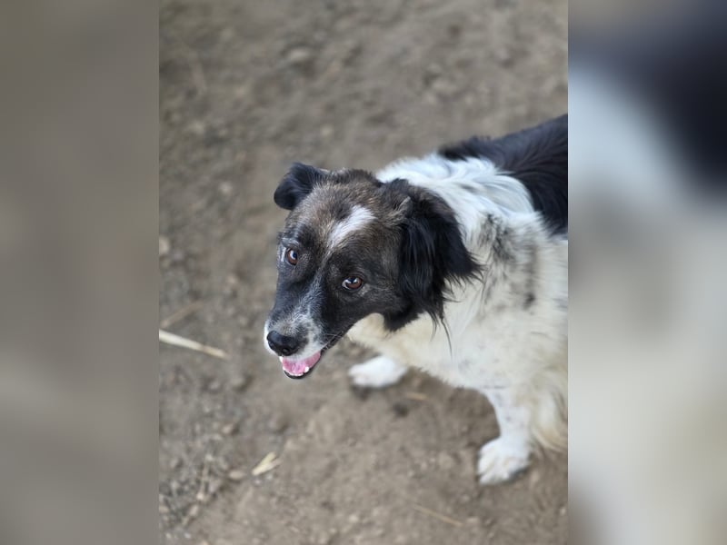 Romeo - verlassen und vergessen