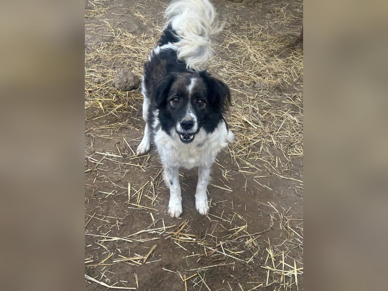 Romeo - verlassen und vergessen