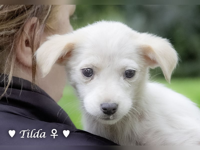 Die Winzlinge Tilly, Tilda und Tanja suchen ab Januar ein Zuhause