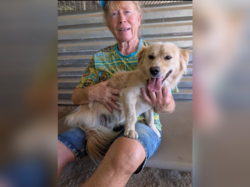 Freddy – kleiner Kokoni auf der Suche nach einem Neuanfang ﻿