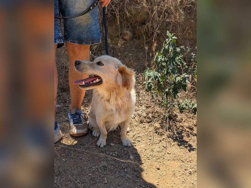 Freddy – kleiner Kokoni auf der Suche nach einem Neuanfang ﻿