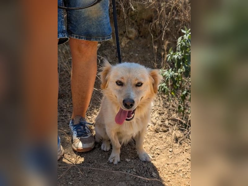 Freddy – kleiner Kokoni auf der Suche nach einem Neuanfang ﻿