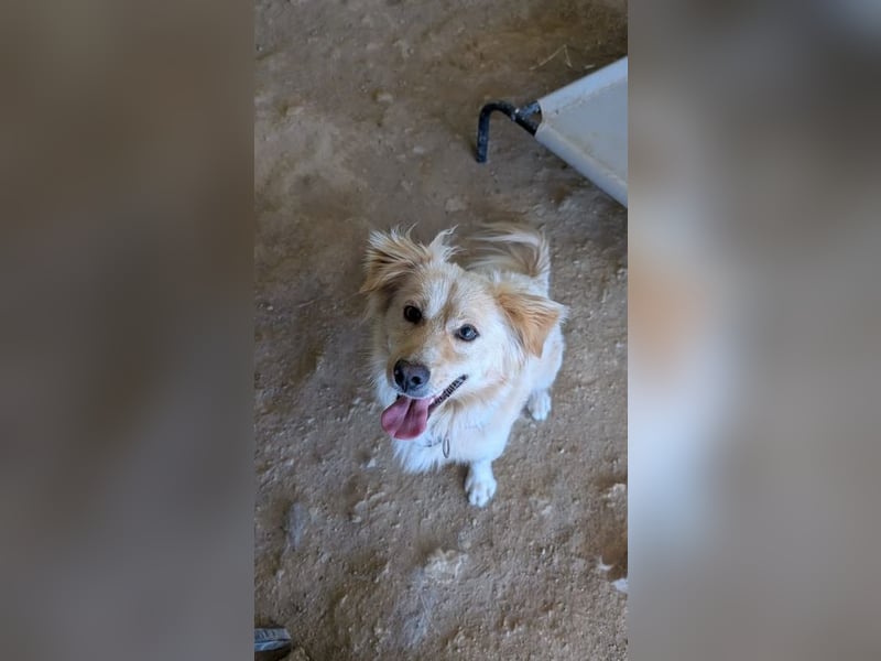 Freddy – kleiner Kokoni auf der Suche nach einem Neuanfang ﻿