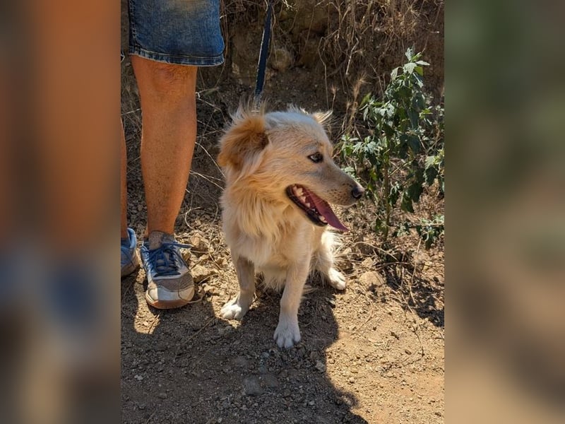 Freddy – kleiner Kokoni auf der Suche nach einem Neuanfang ﻿