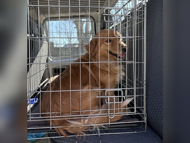 Karamella eine freundliche fröhliche