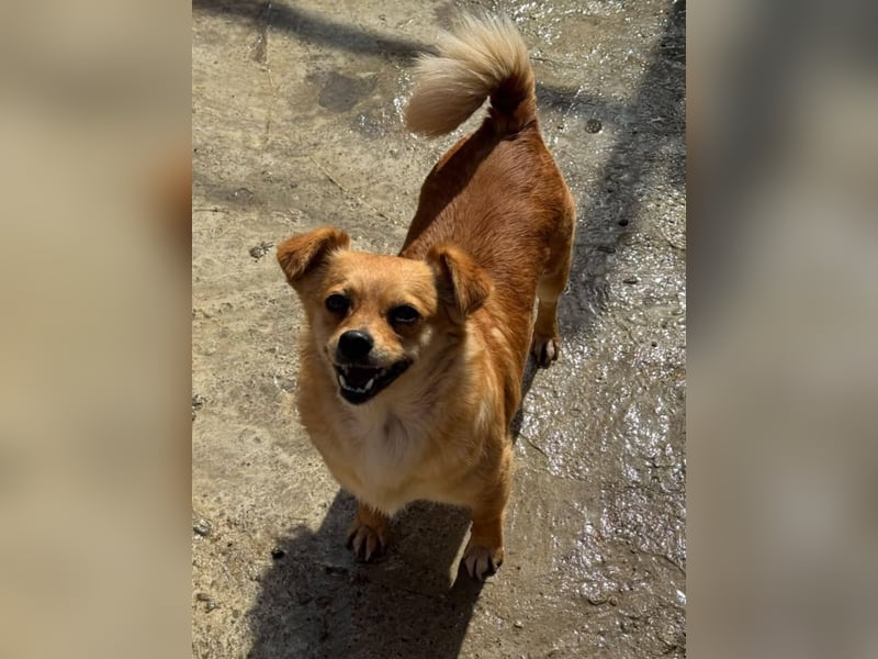 Luna bleibt alleine zurück