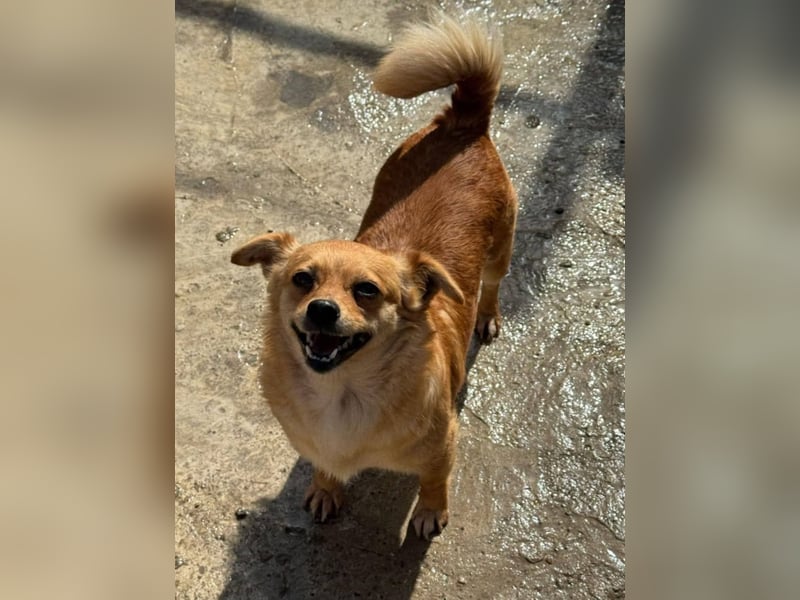 Luna bleibt alleine zurück