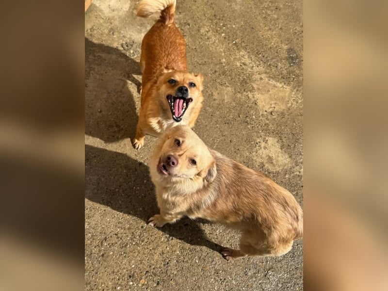 Luna bleibt alleine zurück