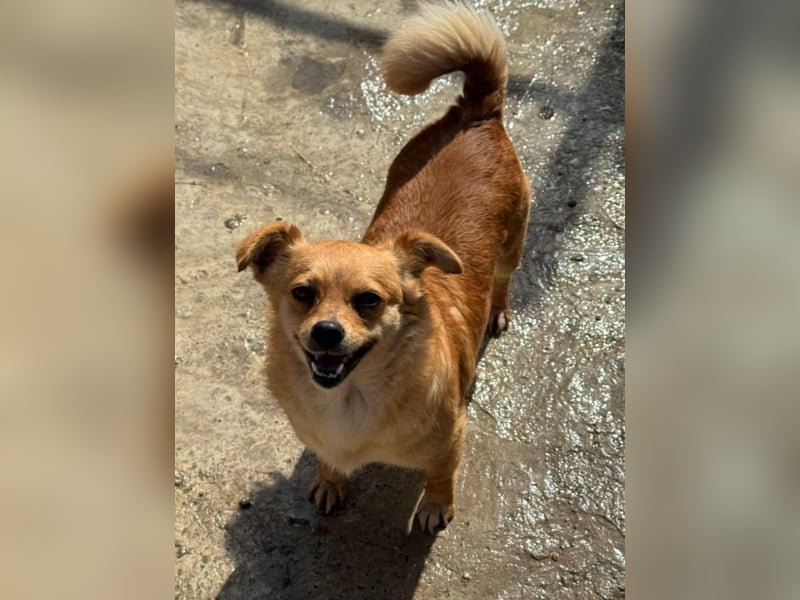 Luna bleibt alleine zurück