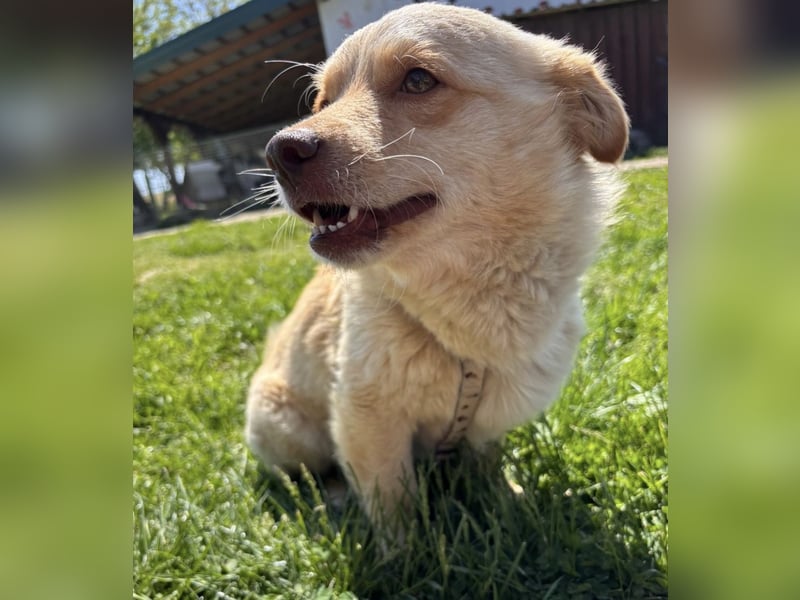 Casper ein kleiner sanfter Engel