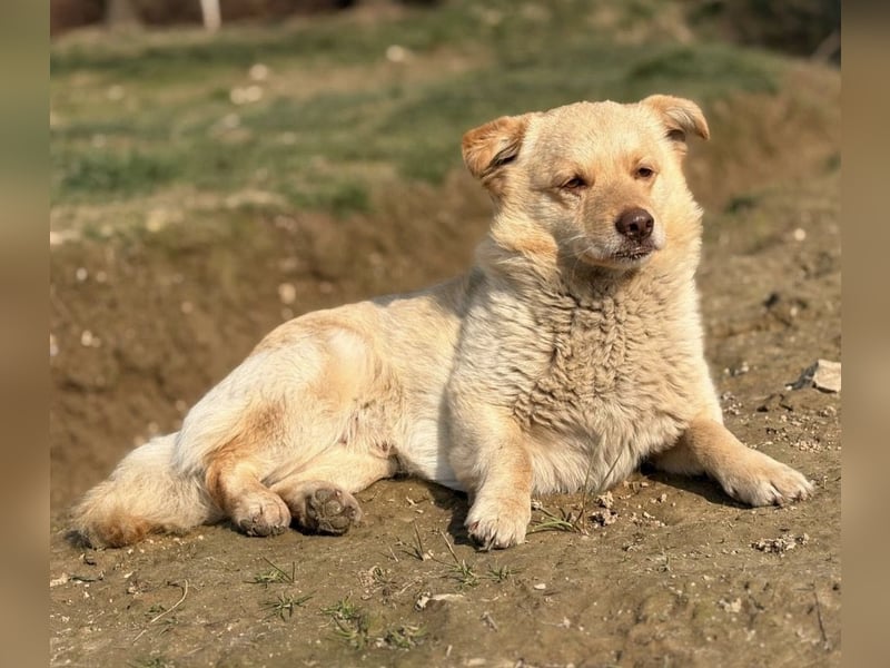 Casper ein kleiner sanfter Engel