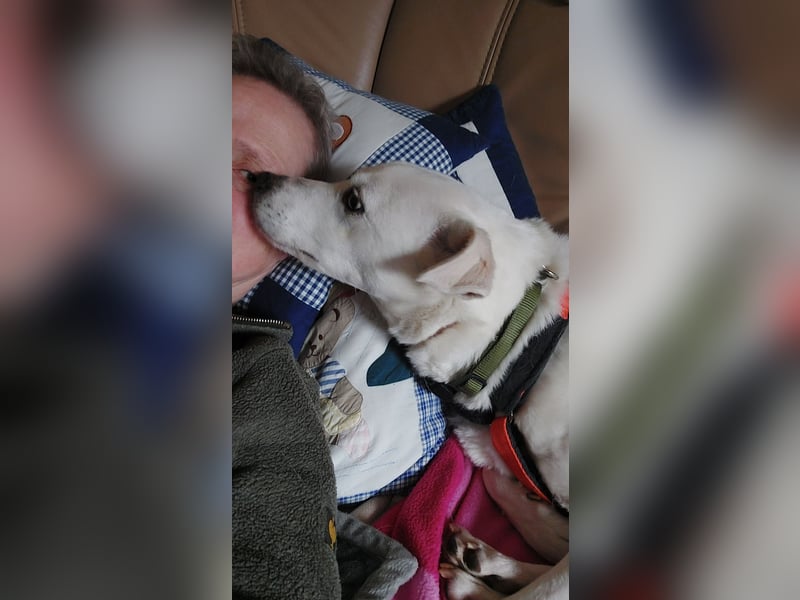 Chance - sooo tapfer