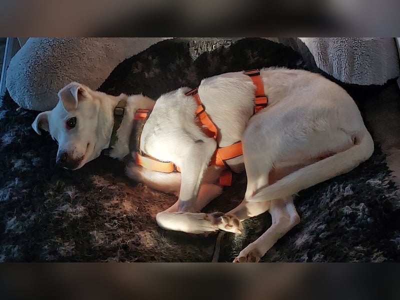 Chance - sooo tapfer