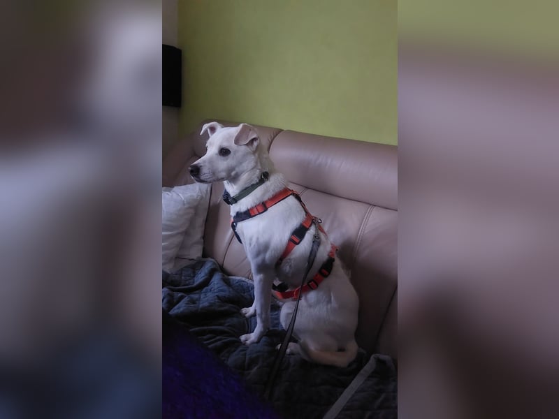 Chance - sooo tapfer