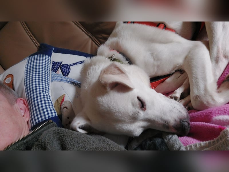 Chance - sooo tapfer