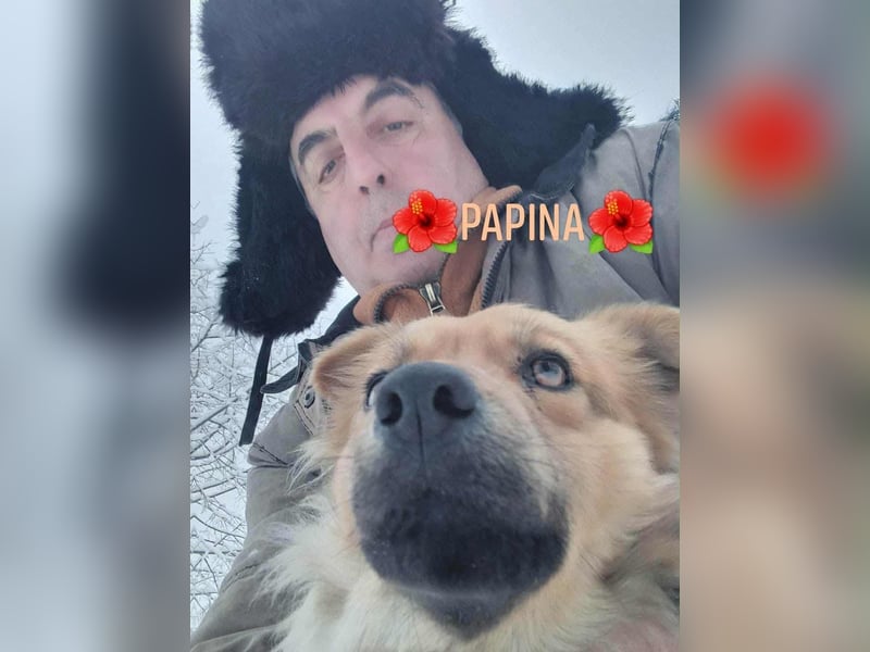 PAPINA - gerettet von der Straße nahe Slatina