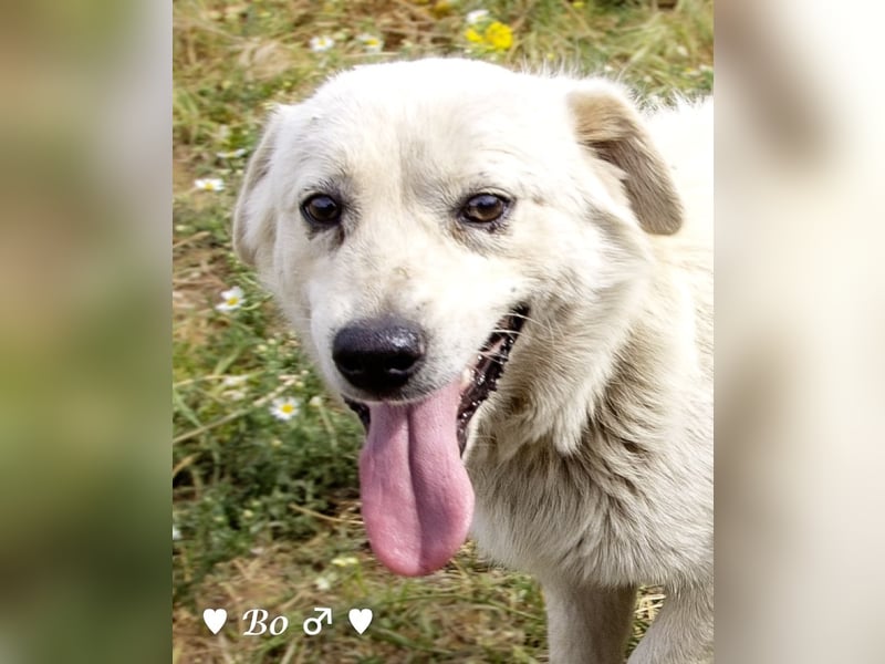 Kokonimix Bo und Benji suchen ab sofort ein Zuhause
