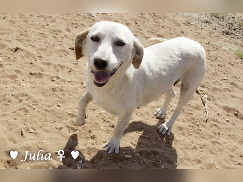 Julia, sehr freundliche Kokonidame, sucht ein Zuhause