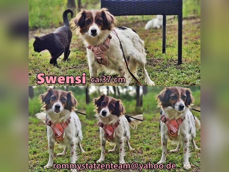 Swensi freut sich auf spannende Ausflüge