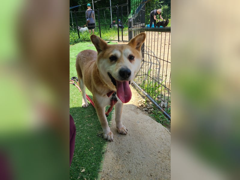 Celeste, die Menschenliebhaberin