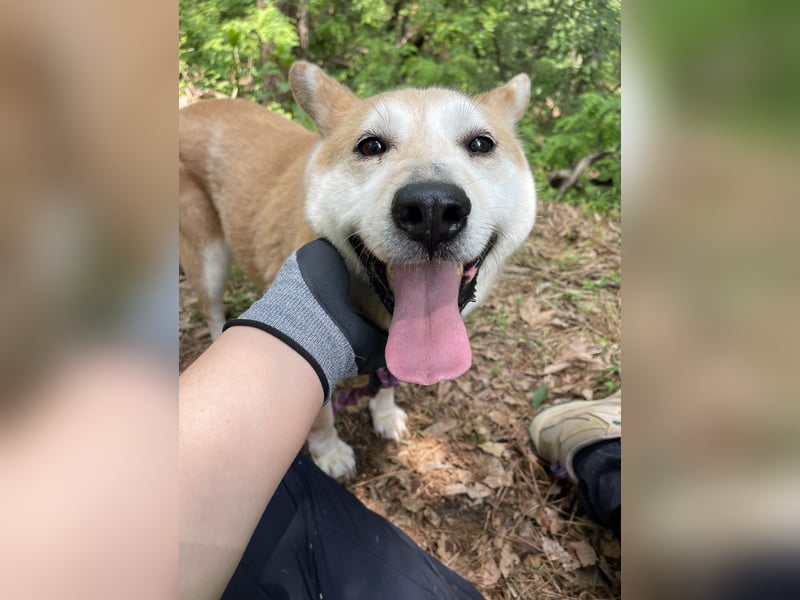 Celeste, die Menschenliebhaberin