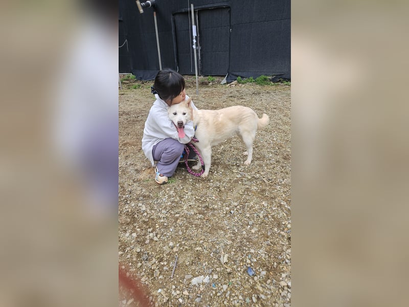 Namjoo, aktive Hündin die sich auf ihren Menschen freut