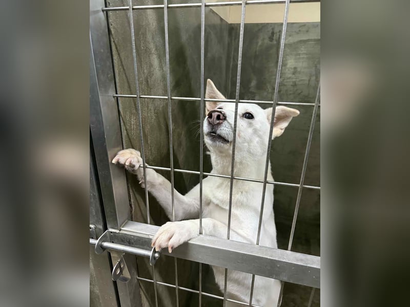 Namjoo, aktives Mädchen würde gerne Deine Begleiterin sein