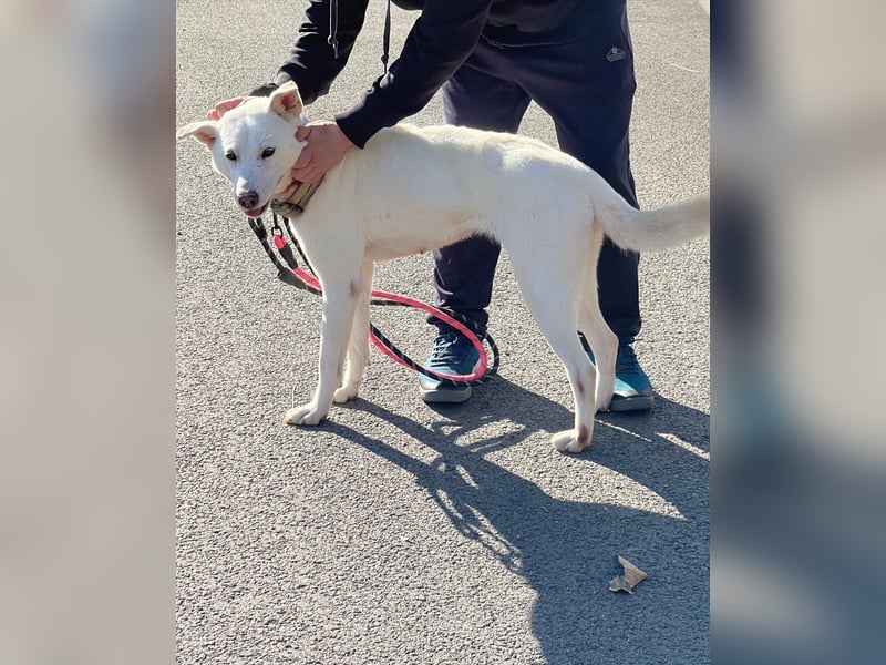 Namjoo, aktives Mädchen würde gerne Deine Begleiterin sein